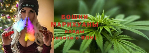 дживик Аркадак