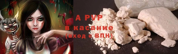 дживик Аркадак