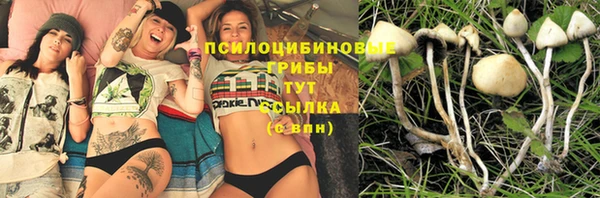 jwh Армянск