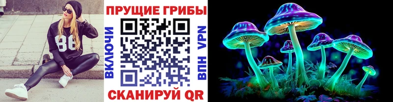 Галлюциногенные грибы прущие грибы Будённовск