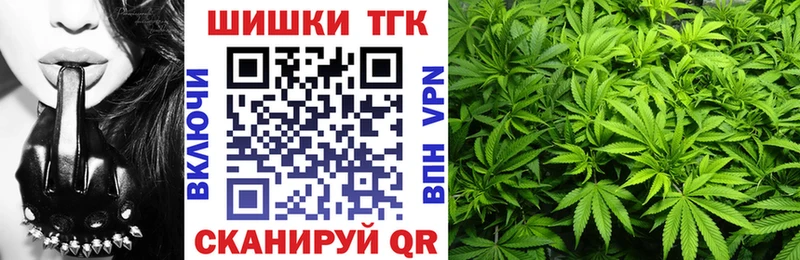 закладка  гидра ТОР  Конопля план  Будённовск 